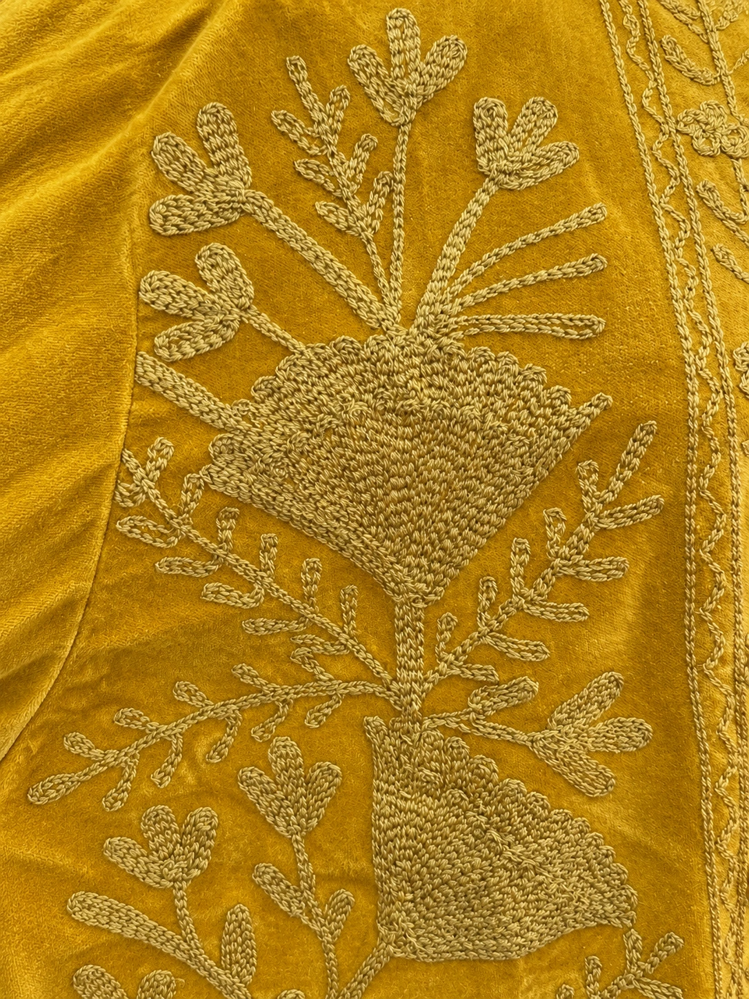 Velvet Jacket — fabric and embroidery detail, lighting-adjusted from a source photograph
